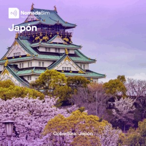 Japon - Paquetes de GB